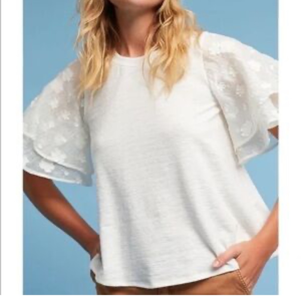 Anthropologie Top with Ruffled Sheer Sleeves